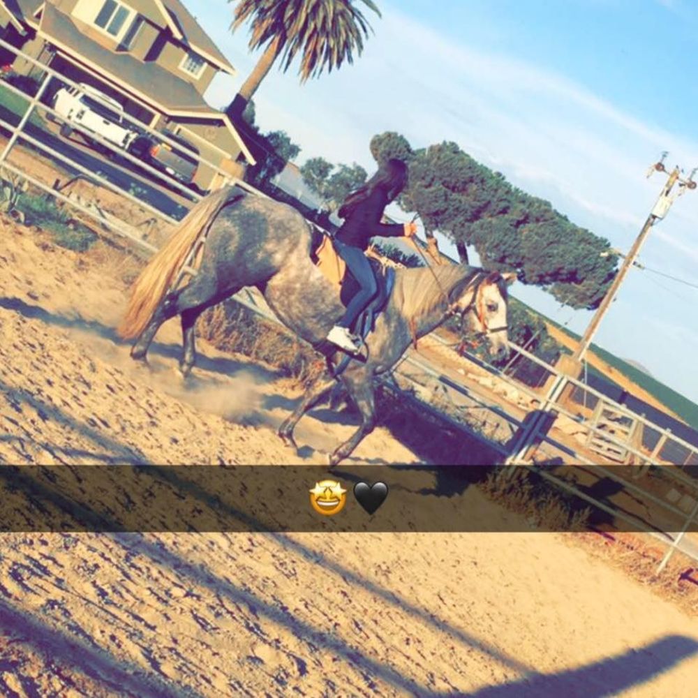 Meet your Posher, Adilene